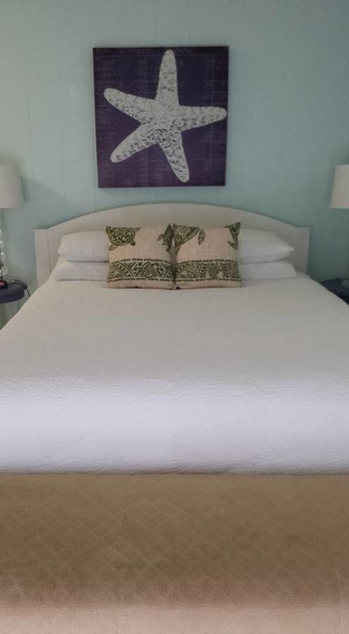 カイルア パラダイス パームス B ＆ B Bed & Breakfast エクステリア 写真
